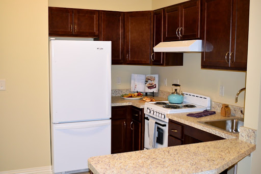 A modern kitchen featuring dark wood cabinets, a white refrigerator, and essential cooking appliances.