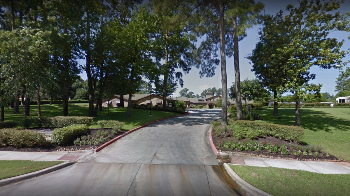 A suburban driveway surrounded by lush greenery and trees.