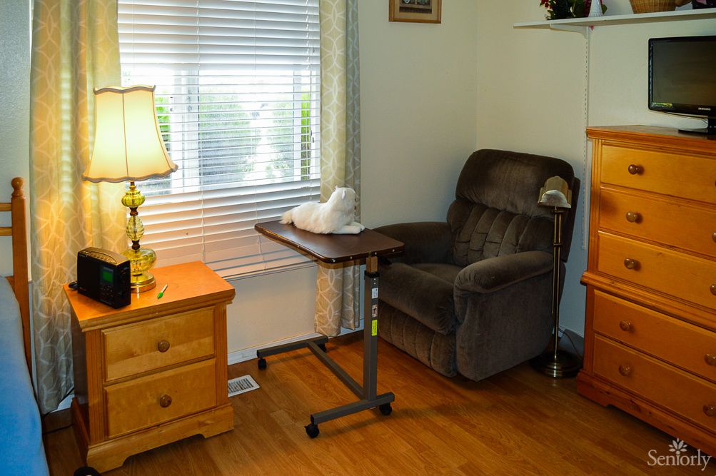 A cozy living room with a reclining chair, table, and a cat by the window.