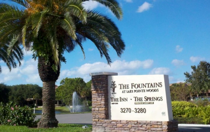 Springs At Lake Pointe Woods