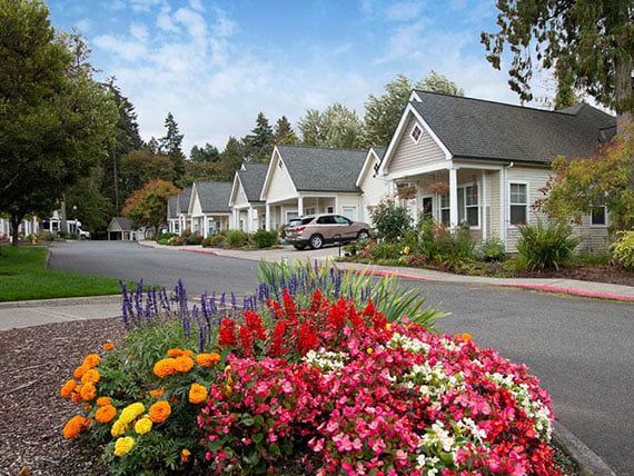 A picturesque residential neighborhood with vibrant flower gardens.