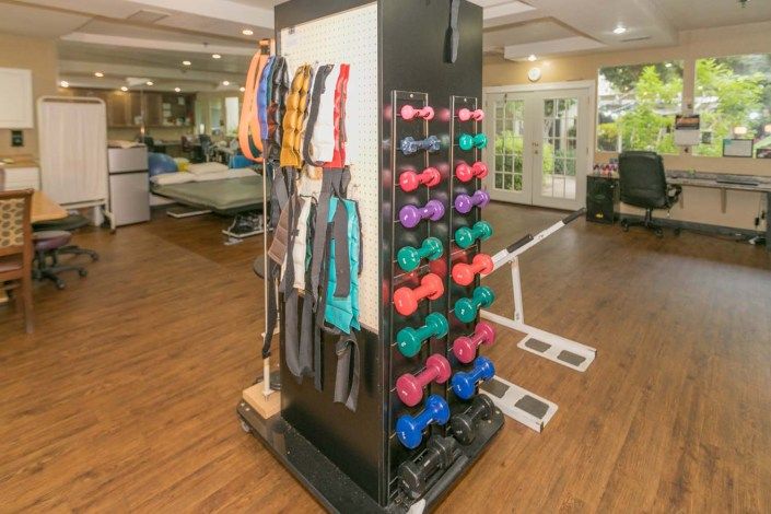 A well-equipped gym area featuring a variety of dumbbells and resistance bands for fitness enthusiasts.