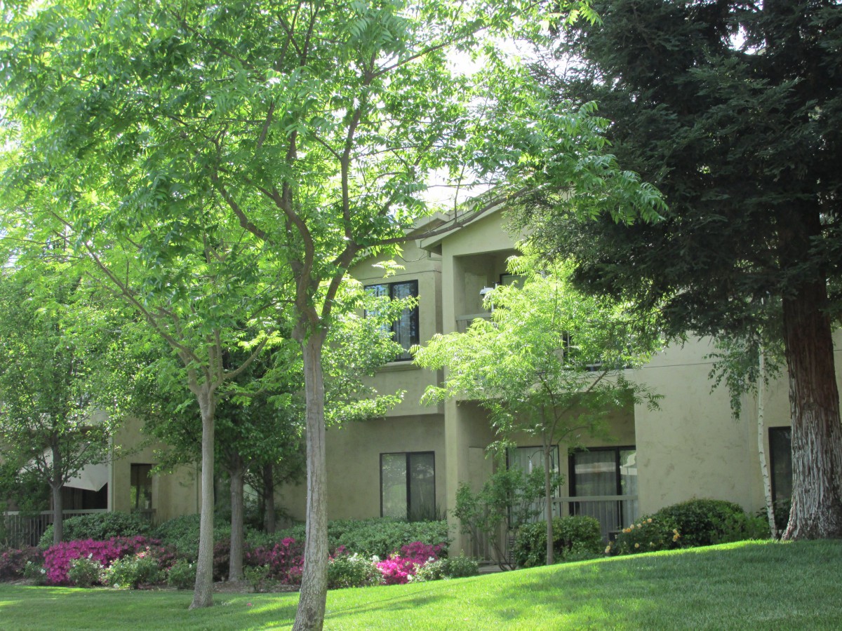 A residential apartment building surrounded by lush trees and manicured landscaping.