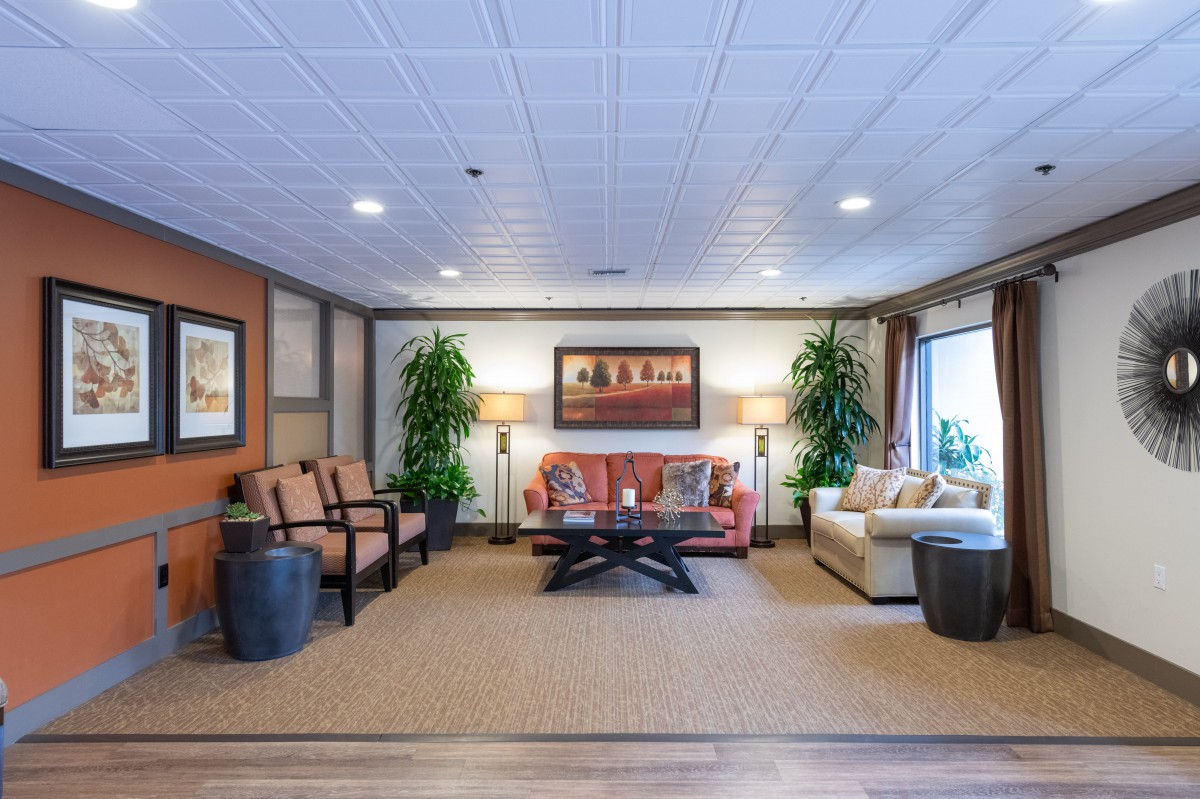 A well-appointed living room featuring sofas, chairs, a coffee table, and decorative plants.