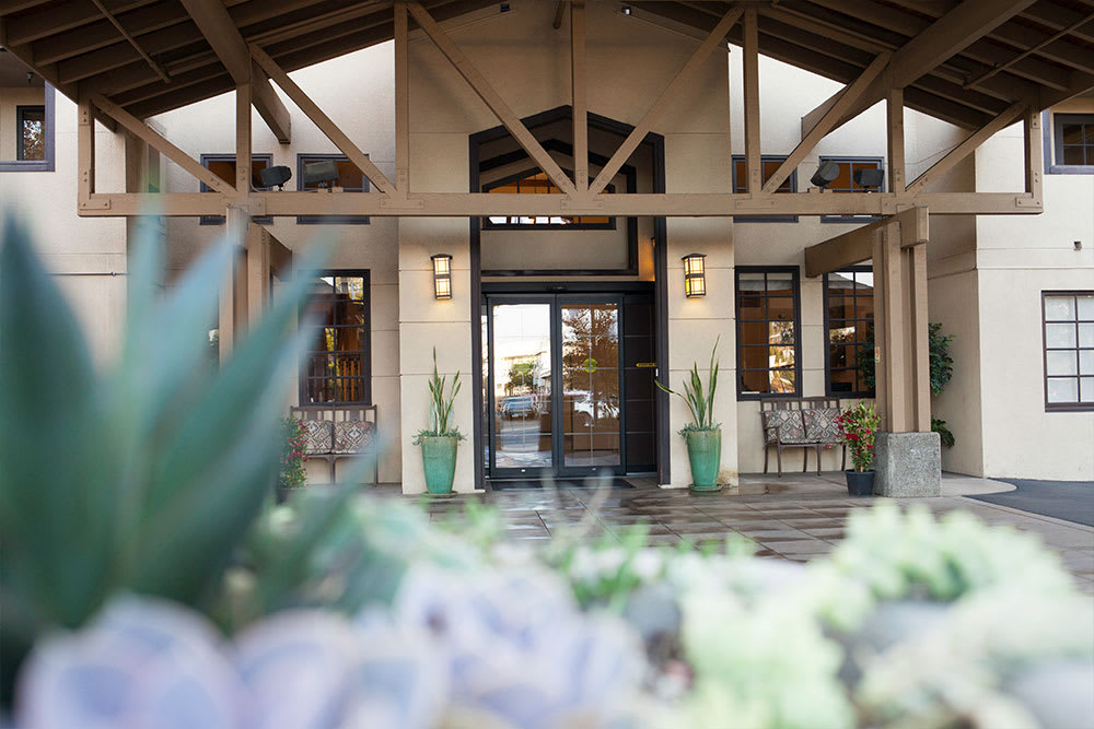 Entrance to a building with potted plants and architectural details.