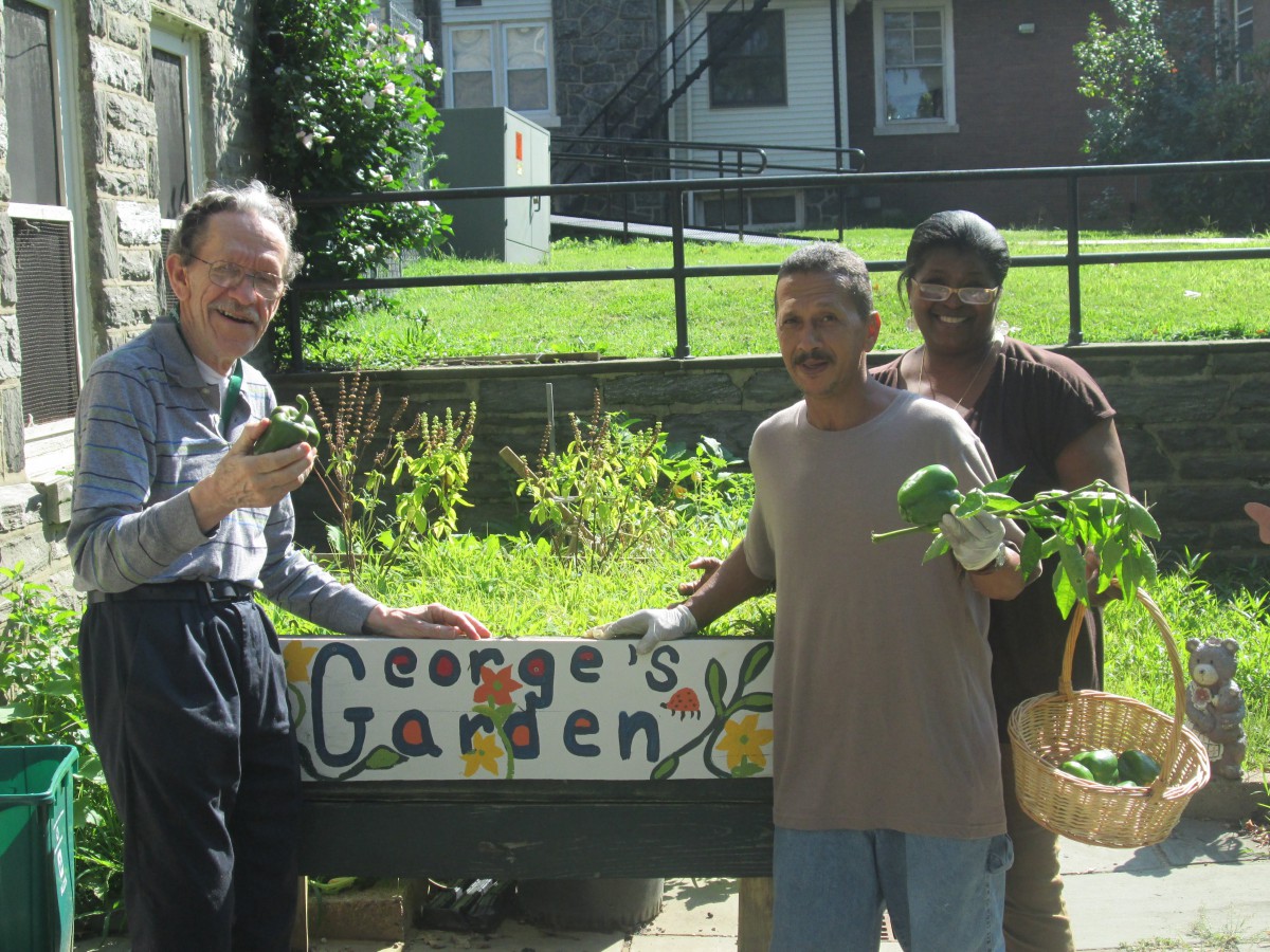 Three people happily work together in George's Garden, showcasing their plants.