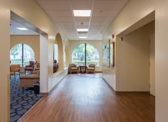 Cherry Oak Palm Beach County