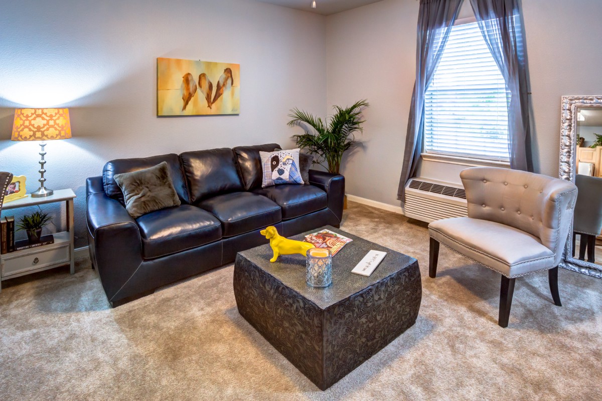 A cozy living room with a black leather sofa, a modern coffee table, and stylish decor.