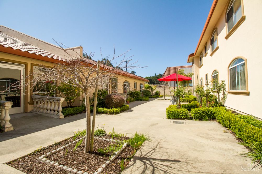 A sunny courtyard with trees, landscaping, and a red umbrella between buildings.