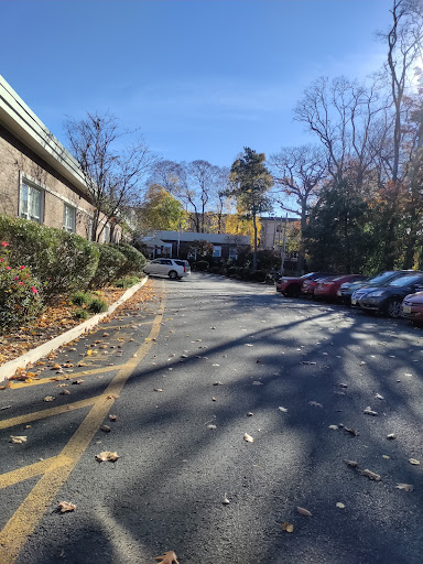 A peaceful parking lot surrounded by trees during autumn.