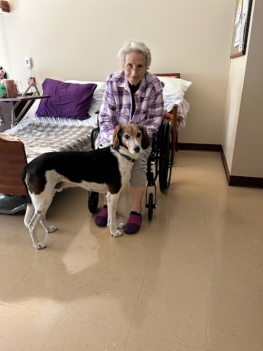 A senior woman sitting by a wheelchair with a friendly dog beside her in a care facility.