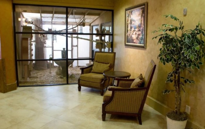 Palm View Rehabilitation & Care