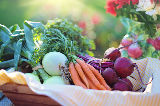 A vibrant assortment of fresh vegetables ready for a wholesome meal.