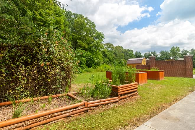 A lush garden featuring wooden raised beds filled with greenery, set against a backdrop of trees and a clear blue sky.
