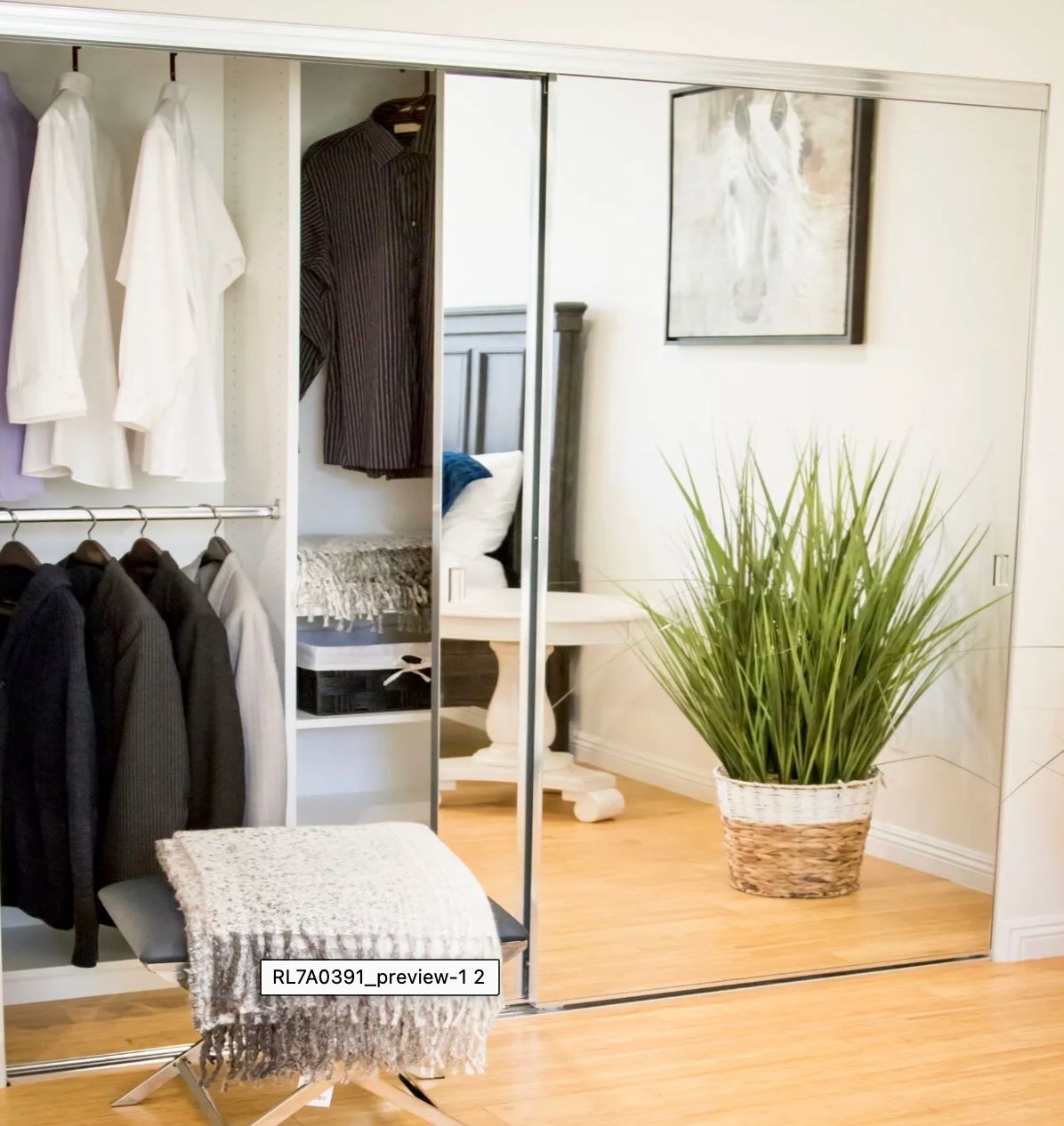 A neatly organized closet with mirrored sliding doors and a potted plant nearby.