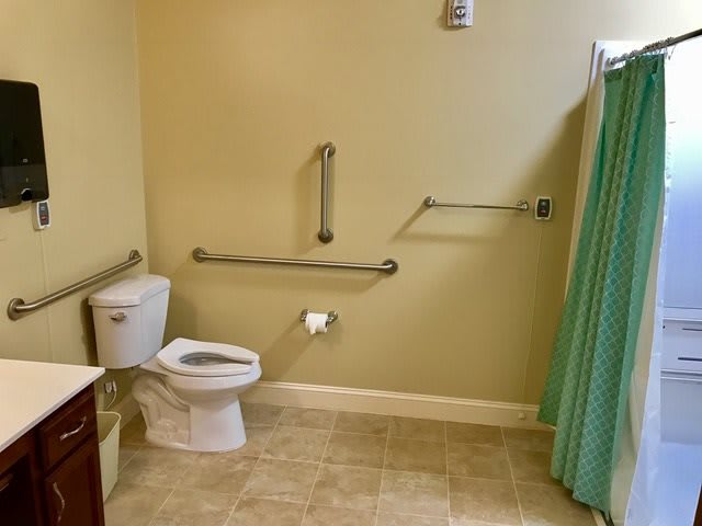An accessible bathroom with handrails and a shower curtain.