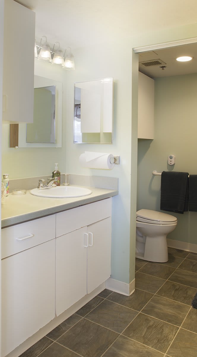 A modern bathroom with a sink, mirror, and toilet.