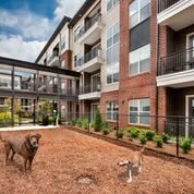 An apartment complex featuring a dog-friendly outdoor area with two dogs enjoying the space.