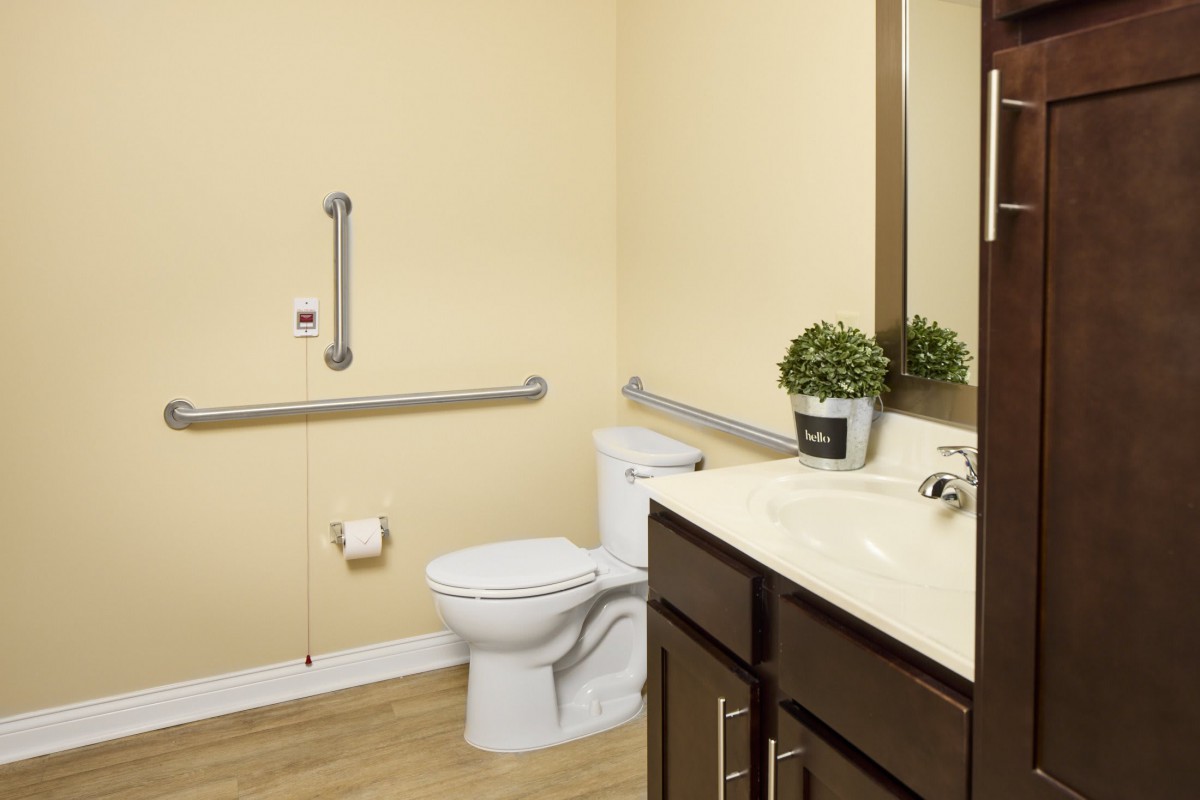 An accessible bathroom with a toilet, sink, and grab bars.