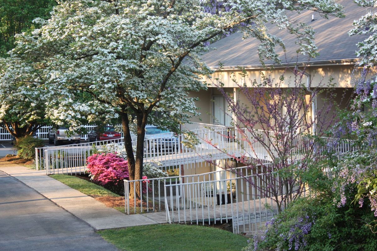 Village at Cook Springs
