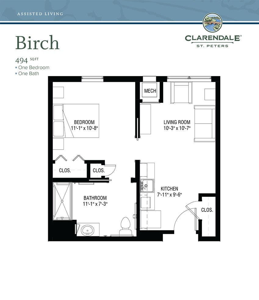 Birch floor plan: 1-bedroom apartment layout with living room, kitchen, and bathroom.