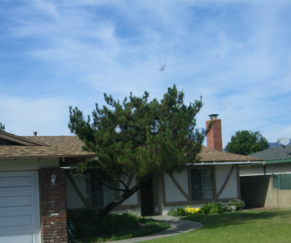 J & S Concord HomeCare