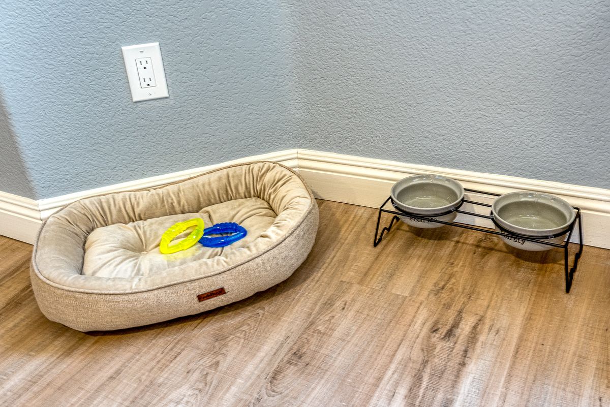 A cozy pet corner with a plush bed, colorful toys, and food bowls on the floor.