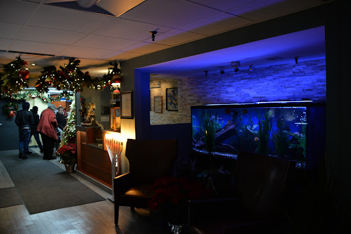 A cozy living space featuring an aquarium, soft lighting, and comfortable seating.
