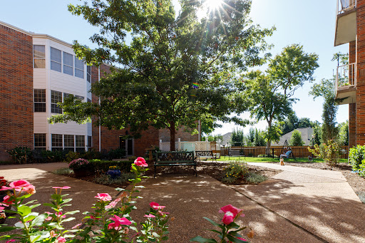 A serene outdoor garden featuring vibrant flowers and a large tree, bathed in sunlight.
