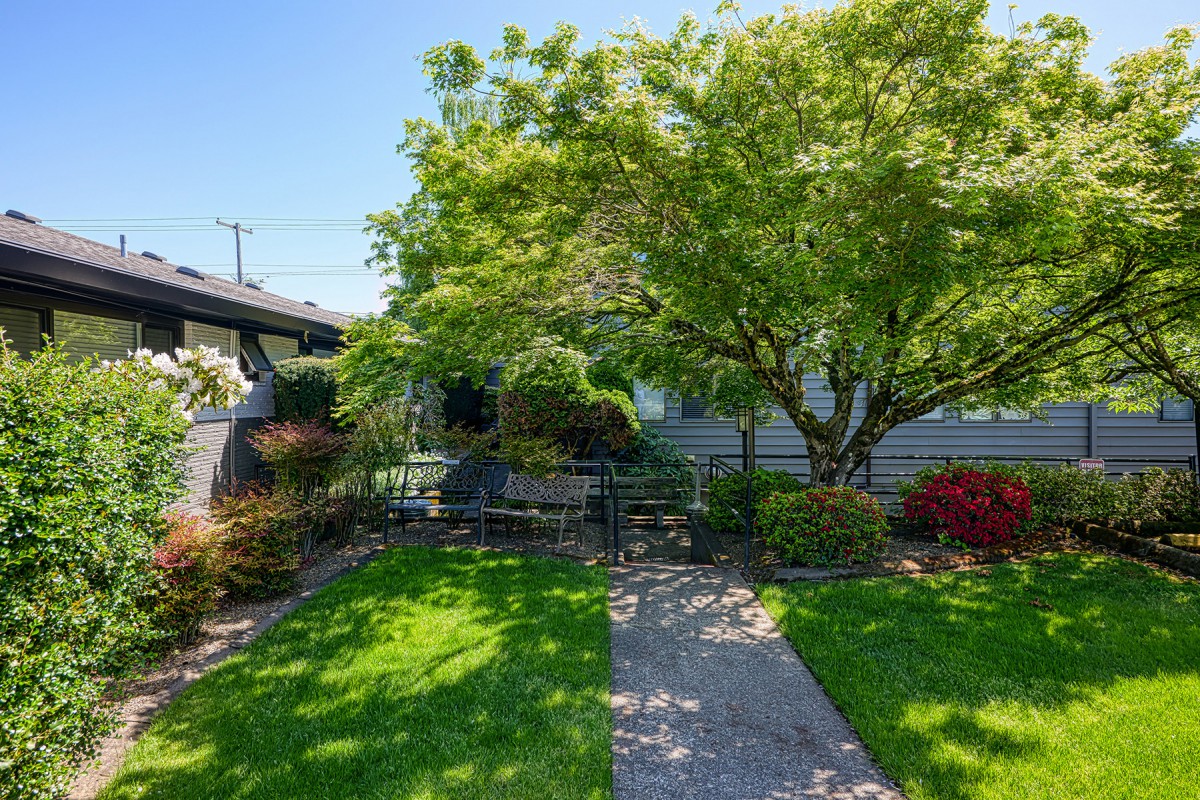 A peaceful garden with a paved pathway surrounded by lush greenery and trees on a sunny day.