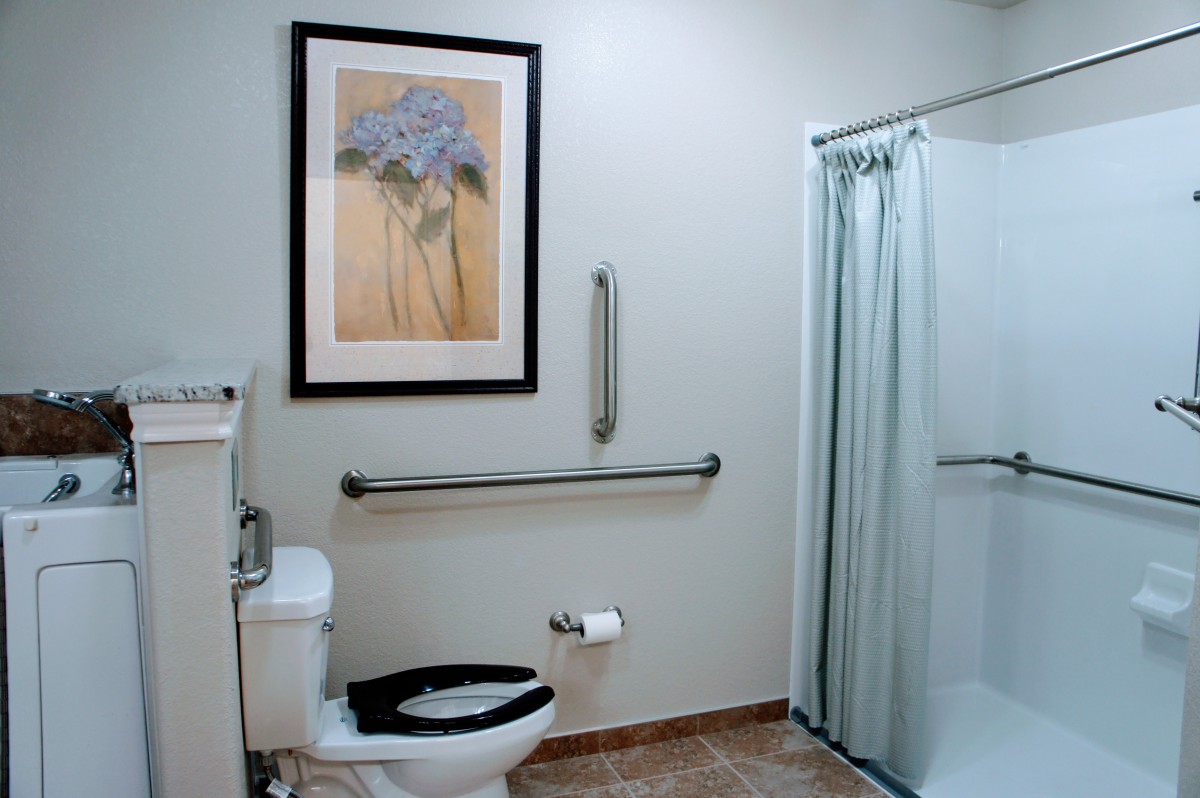 An accessible bathroom with a shower, toilet, and grab bars, featuring wall art and a tiled floor.