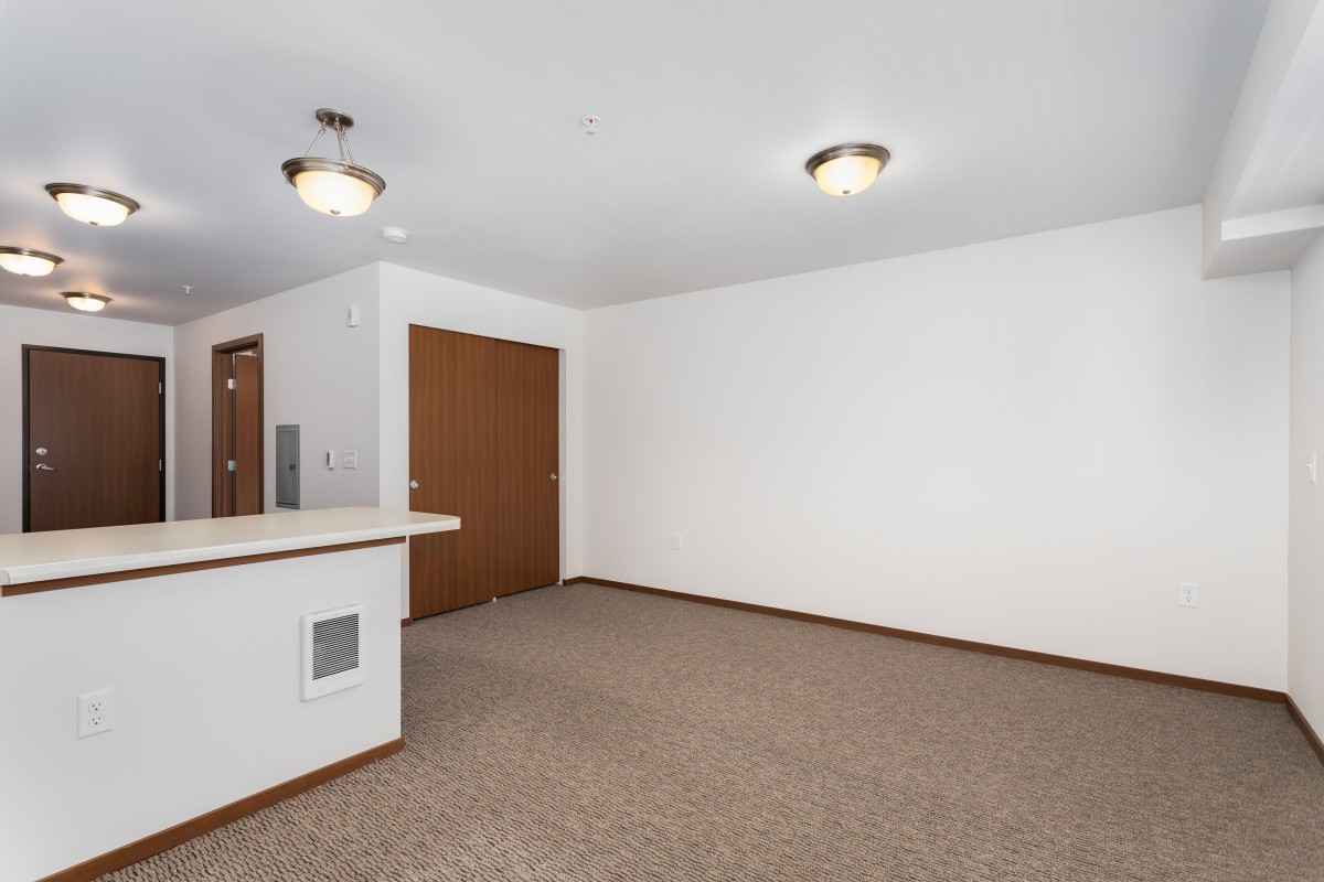 A spacious empty room with carpet flooring and minimal decor, featuring closed wooden doors and ceiling lights.