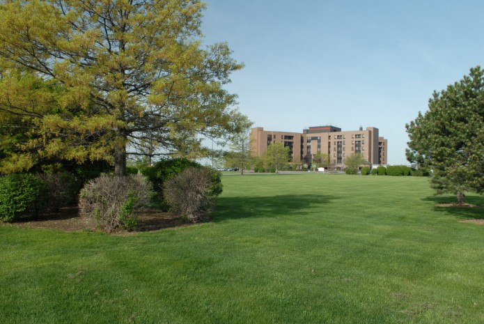 A large grassy field with a tree and a building in the distance under a clear blue sky.