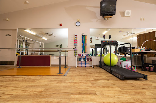 A well-equipped gym featuring a treadmill, exercise balls, and ample training space.