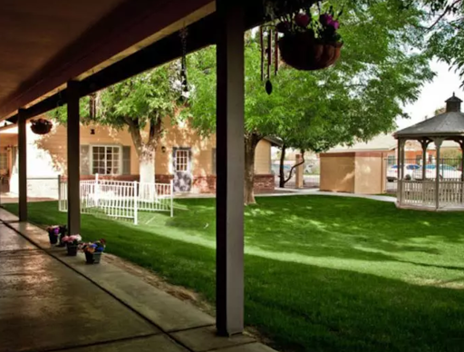 A serene view from a patio showcasing lush green grass and trees, inviting a sense of tranquility.