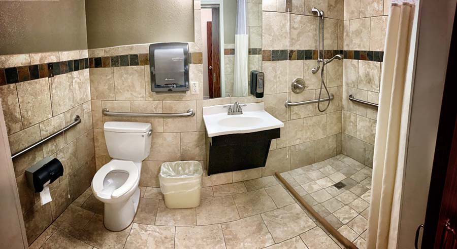 A handicap accessible bathroom with a toilet, sink, and walk-in shower.