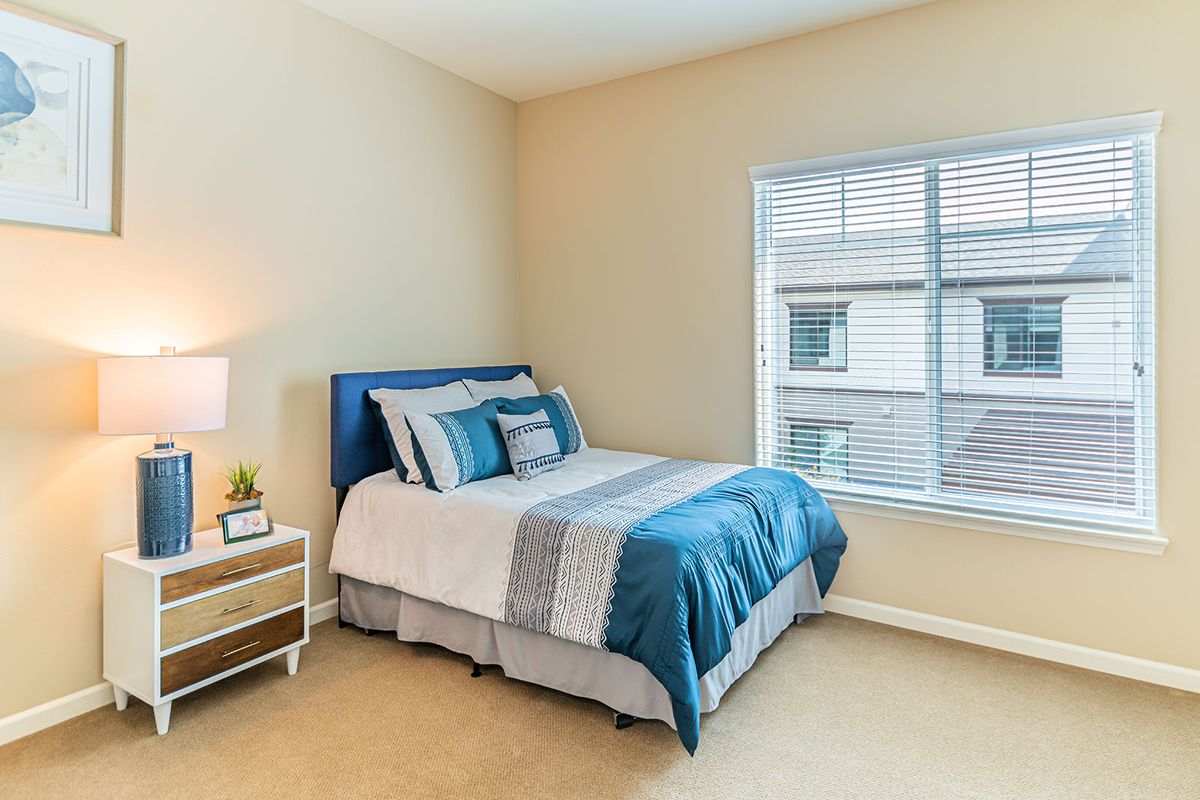 A modern bedroom with a neatly made bed, bedside table, and large window.