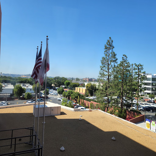 A view of the outdoors featuring flags, trees, and buildings under a clear blue sky.