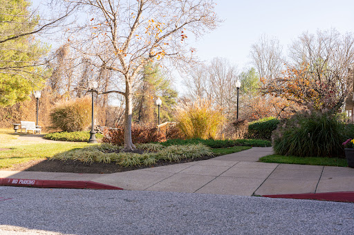 A serene garden pathway surrounded by trees and vibrant foliage.
