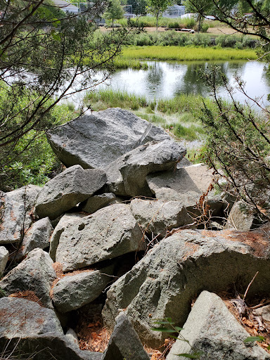 A serene view featuring a pile of rocks by a tranquil body of water surrounded by lush greenery.