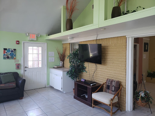A well-lit living room with green walls, showcasing a TV, decorative plants, and comfortable seating.