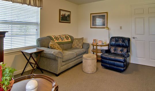 A cozy living room with a sofa, armchair, and decorative elements.