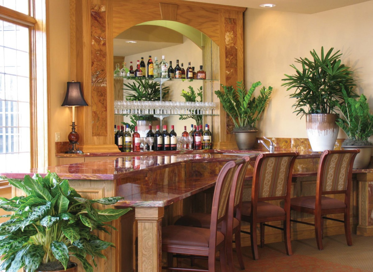 Cozy and elegant bar interior with wooden furnishings and lush green plants.