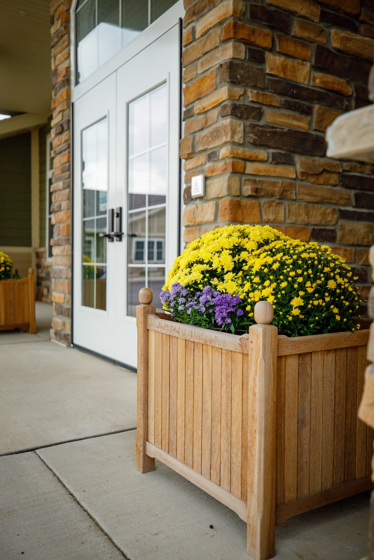 A wooden planter filled with vibrant yellow and purple flowers next to a building entrance.