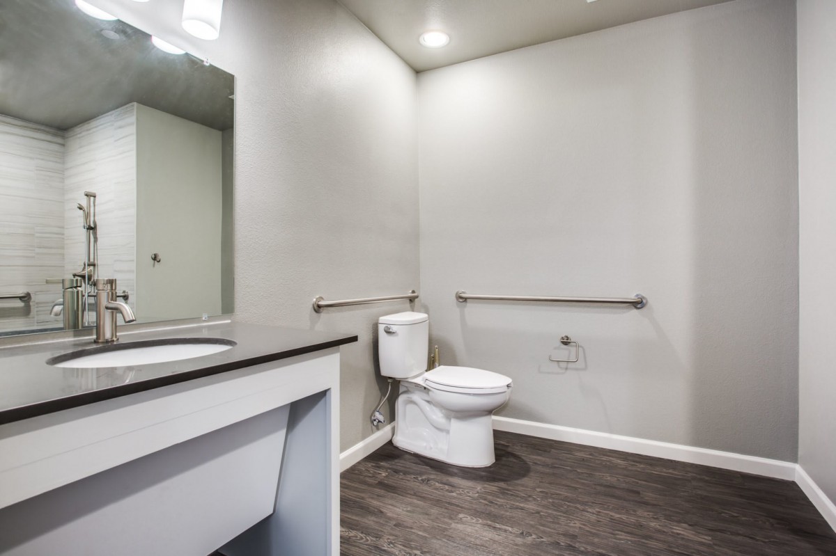 A modern, accessible bathroom with a toilet, sink, and grab bars.