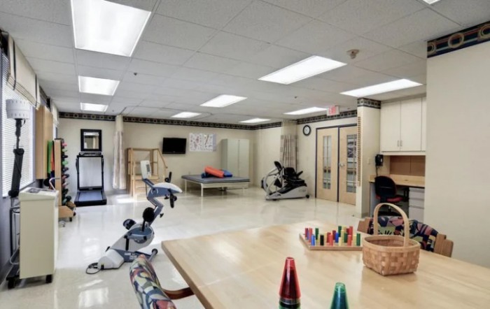 A well-equipped rehabilitation center with exercise equipment and therapy areas.