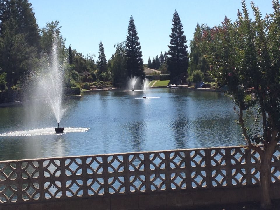 A serene view of a lake with multiple fountains and a decorative bridge, surrounded by trees.