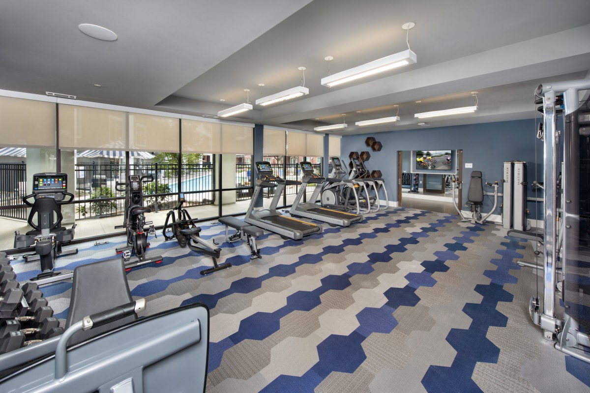 A modern gym with various exercise equipment including treadmills and dumbbells.