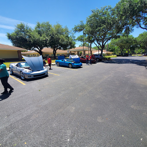 A sunny day at the parking lot with several cars and people engaged in maintenance activities.