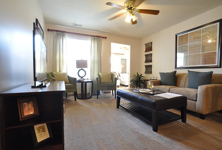 A cozy and well-lit living room with modern furniture and decor.